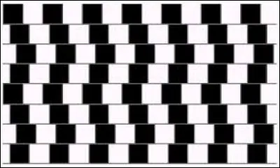 Les lignes horizontales sont-elles droites ?