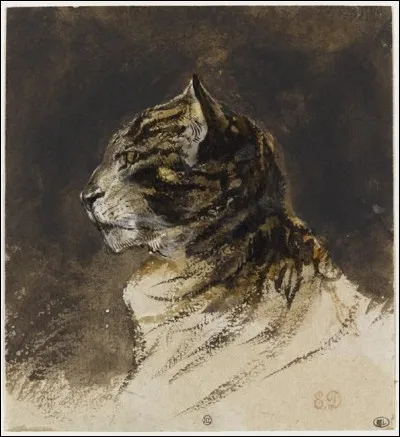 Qui a peint cette ''tête de chat'' ?