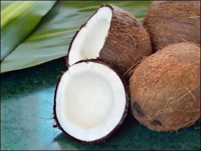 Et pour finir, la noix de coco est originaire du...