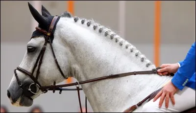 Quele est cette coiffure ?