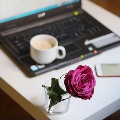 Qu'est-ce que la conchyliculture ?