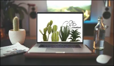 Et enfin pour cultiver une fidèle joueuse du site Quizz-Biz, qu'est-ce que la cacticulture ?