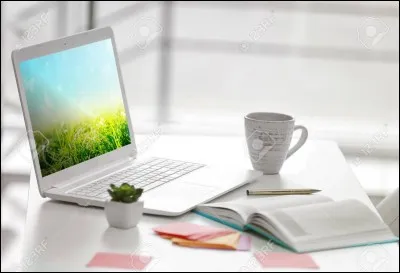 Qu'est-ce que la myciculture ?