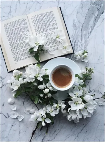 "La culture, c'est la mémoire de l'intelligence des autres", nous dit ce philosophe qui a écrit "Propos sur le bonheur" !