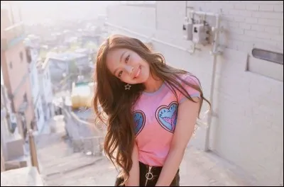 Quelles sont les couleurs préférées de Jennie ?