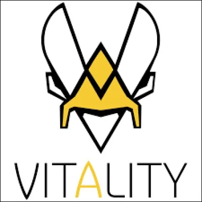 Qui sont les 3 cr&eacute;ateurs de la team Vitality , elle aussi connu de tous ?