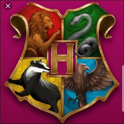 Quelle maison préfères-tu ?