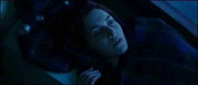 Comment Rose a-t-elle réussi à monter dans un bateau ?