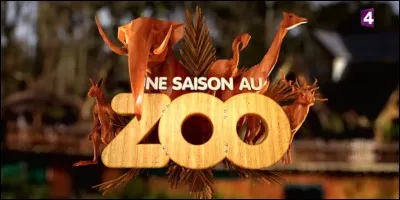 France 4 diffuse-t-elle ce programme ?