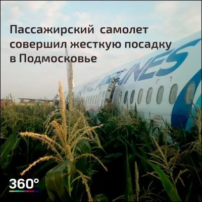 Une volée de mouettes force un Airbus à un atterrissage d'urgence dans un champ de maïs, à Moscou en :