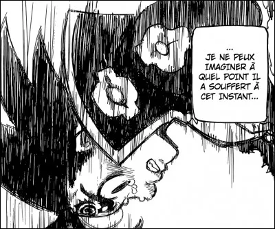 Pour quelle raison Zeldris, du commandement de la Piété, hait-il autant son frère Méliodas, ancien chef des Dix Commandements ?