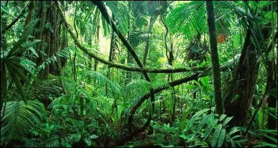 Quel est le pays le plus grand ?