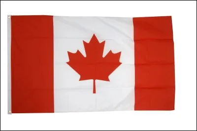 Quel est le pays de ce drapeau ?