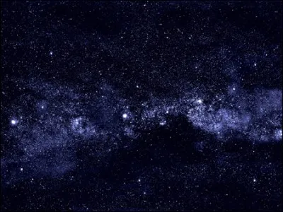 Quel est son animal favoris ?