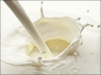 Comment dit-on "lait" ?