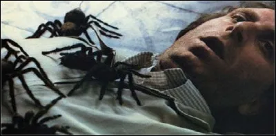 Arachnophobie : Une mygale mortelle, importée d'Amazonie, sème la mort autour d'elle !
