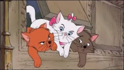 Les 3 chatons de Duchesse sont...