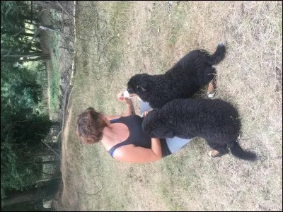 Faut-il gronder mon chiot en l'attrapant par la peau du cou ?