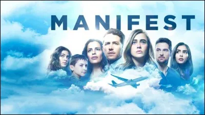 De quel pays partait le vol 828 ?