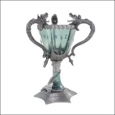 Tu as été nommé 4e champion du tournoi des Trois Sorciers, mais par erreur. Tu as très peur.