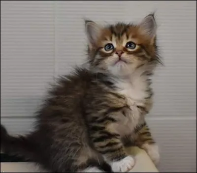 Que fais-tu quand tu t'ennuies ?