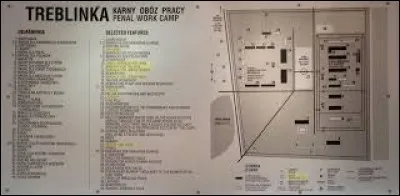Combien de temps a-t-il fallu pour créer un camp d'extermination à Treblinka ?