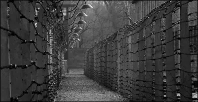 Que souhaite faire le Dr Eberl, premier commandant du camp, de Treblinka ?