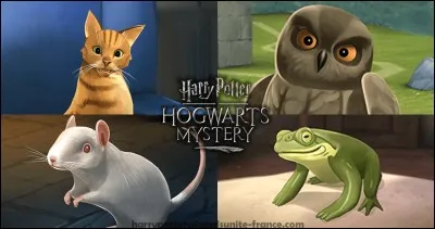 Quel animal choisirais-tu ?