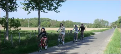 Quelle activit&eacute; pr&eacute;f&egrave;res-tu ?