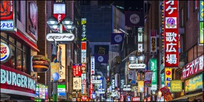 "Lost in Translation" est un long-métrage joué par Robin Williams.