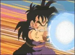 Quell est cette attaque ?