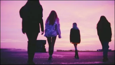 Quelle membre des BLACKPINK joue de la guitare ?