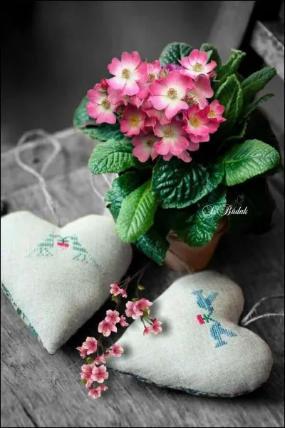 Qui chantait "Mais j'te l'dis quand même, je t'aime" ?