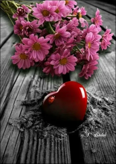 À qui appartiennent les paroles "Je t'aime Mélancolie" ?