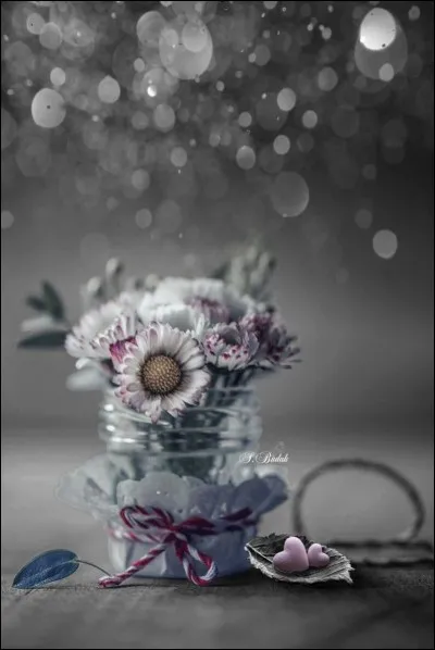 Qui chantait "C'est là que je gâcherai tout, en te disant ces mots stupides "Je t'aime" "?