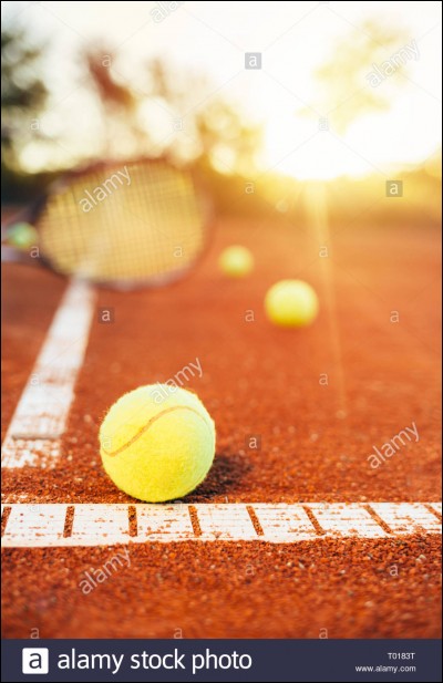 Sports : Quelle joueuse de tennis a remporté Roland Garros 2019 ?