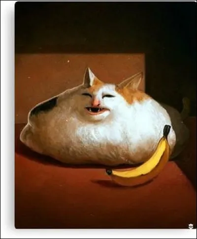 Aimes-tu manger de la terre ?