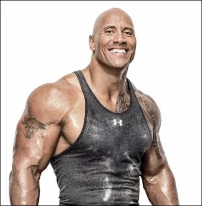 Je suis un acteur et catcheur am&eacute;ricain, et j'ai jou&eacute; dans la saga Fast and Furious :