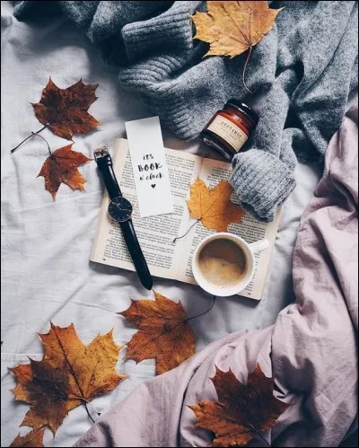 Joséphine Johnson a obtenu le prix Pulitzer en 1935, pour son livre :