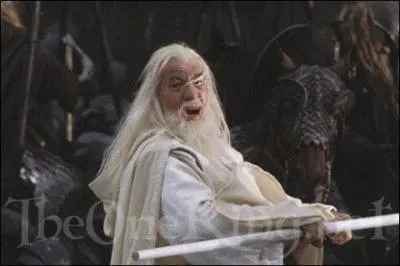 Comment s'appelle ce magicien dans les deux derniers films ?