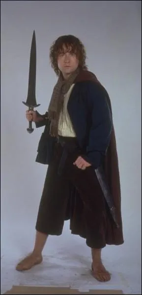 Comment s'appelle cet autre ami du porteur de l'anneau ?