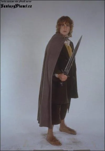 Comment s'appelle cet autre ami du porteur de l'anneau ?