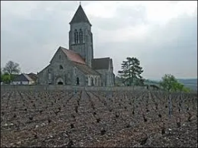 Vous avez sur cette image l'église Saint-Genest, à Oyes. Petit village Marnais de 79 habitants, il se situe dans l'ex région ...
