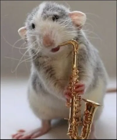 Quel est le nom du saxophoniste ?