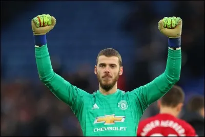 Quel est ce gardien de but ?