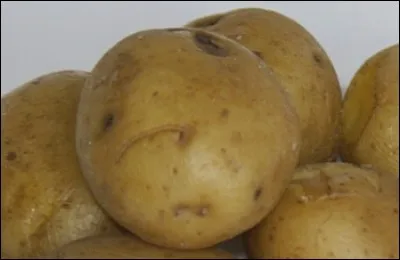 Quel est le nom donné à une pomme de terre cuite et servie avec sa peau ?