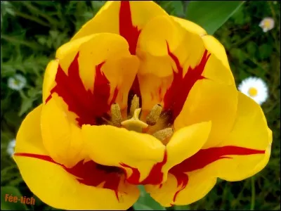 Ta couleur est-elle sur cette image ?