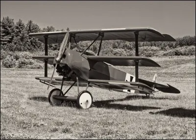 C'est pendant la Première Guerre mondiale que le Fokker Dr.I prit sa renommée.
Quel surnom avait-on donné au plus célèbre des pilotes de ces 171 appareils engagés dans le conflit ?