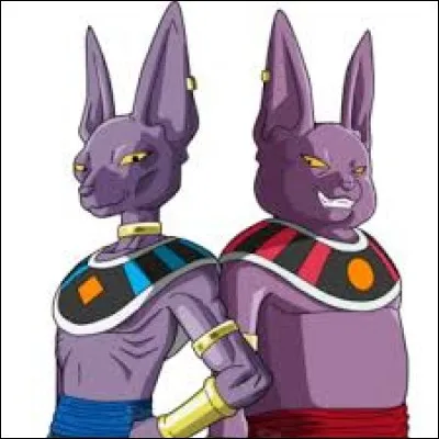 Beerus est le frère de Champa.