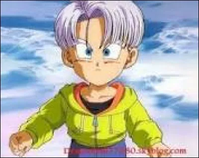 Trunks est le fils de Vegeta.